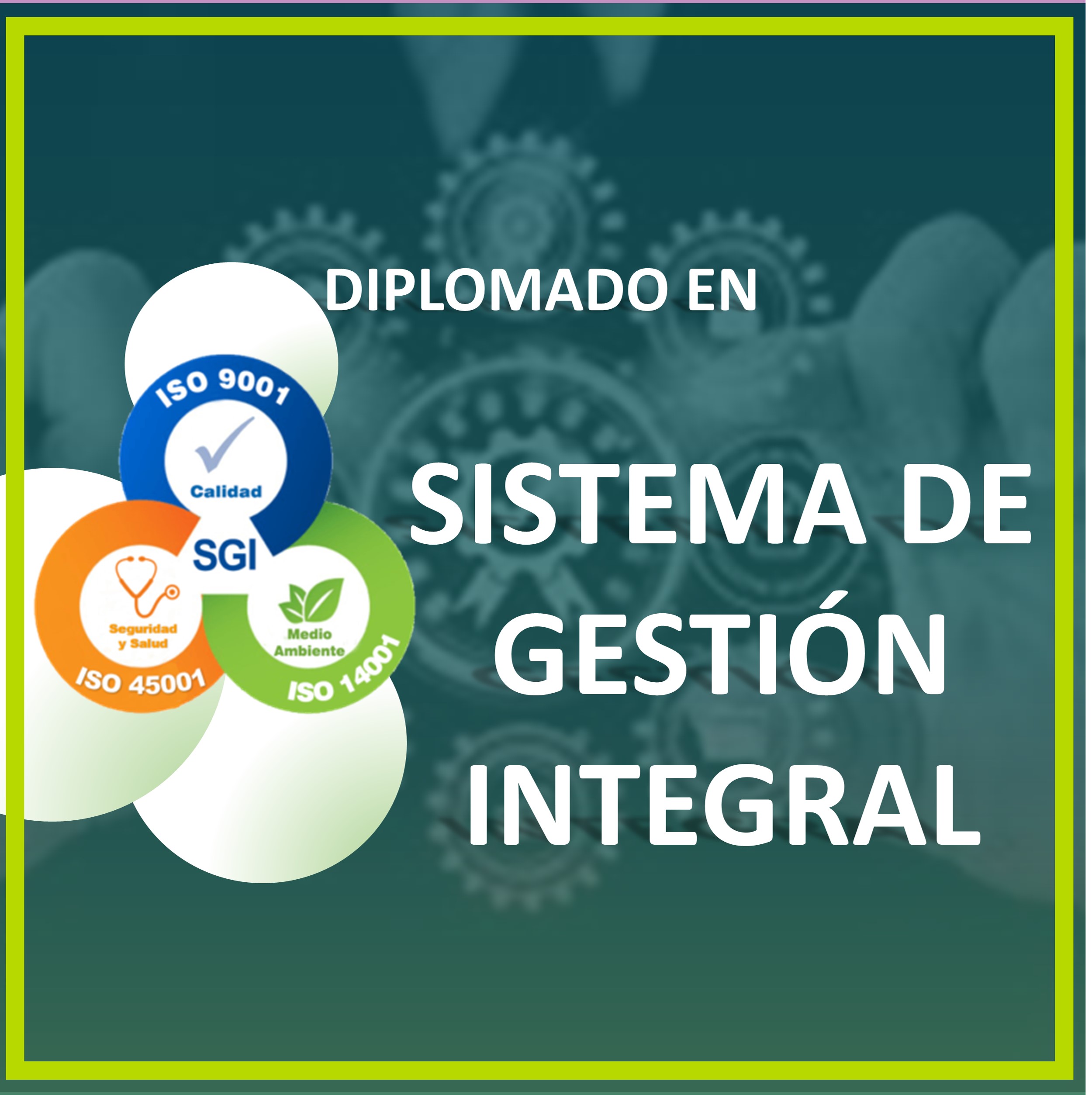 SISTEMA DE GESTIÓN INTEGRAL 